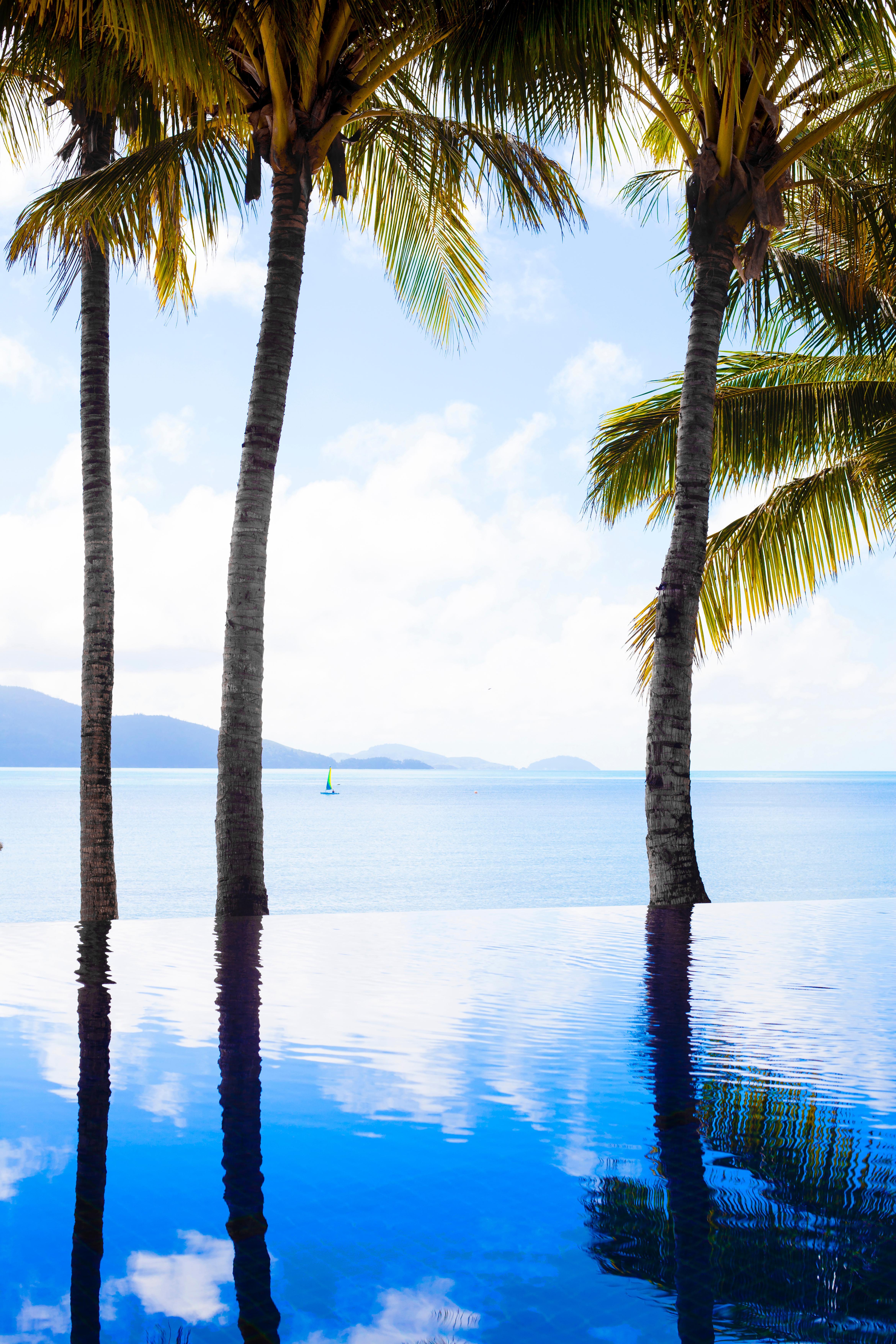 Beach Club (Adults Only) Hamilton Island Exterior foto