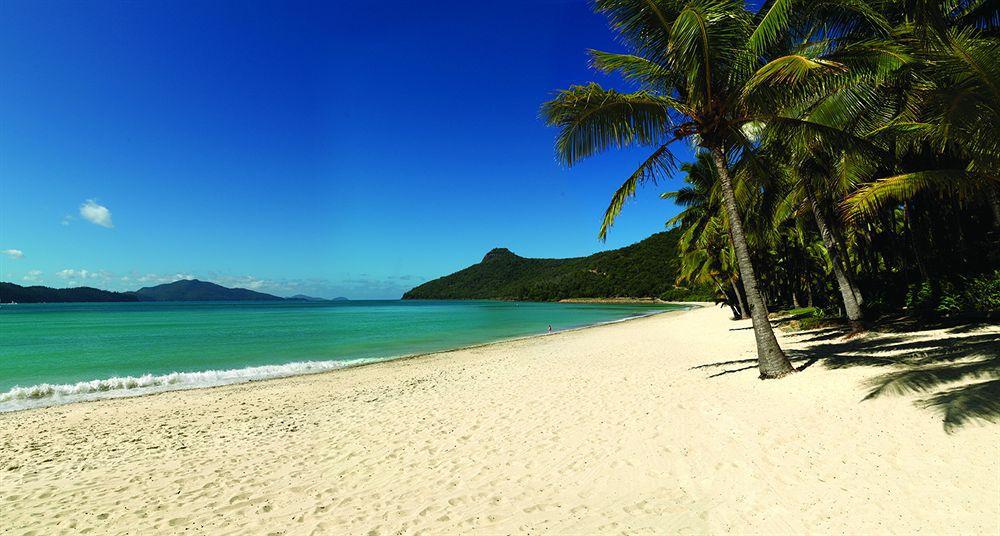 Beach Club (Adults Only) Hamilton Island Exterior foto